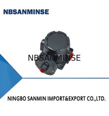 TXK Micro Controller per interruttori di pressione a prova di esplosione