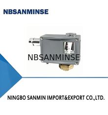 TL0002 Interruttore di pressione dell'acqua Micro Controllore di pressione