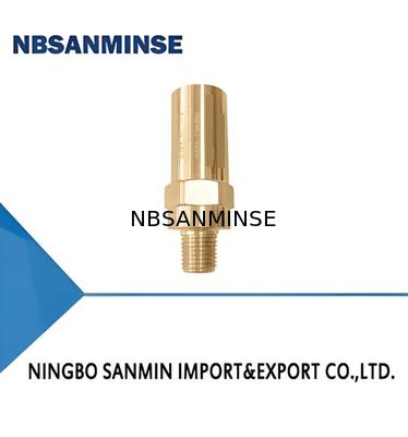 DA-08C/G V Valvola di sicurezza criogenica Rame 35bar