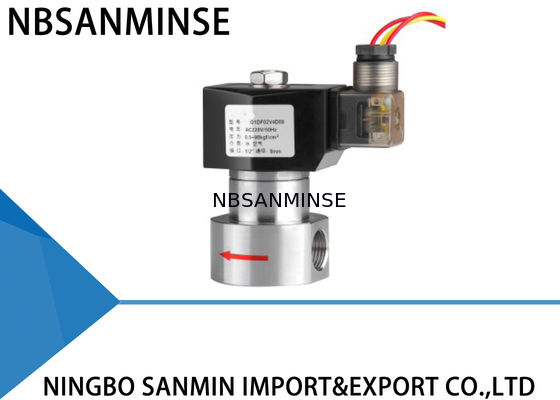 Elettrovalvola a solenoide a 2 pollici dell'acqua di potere basso 1 24vdc 220VAC 230VAC Eco amichevole