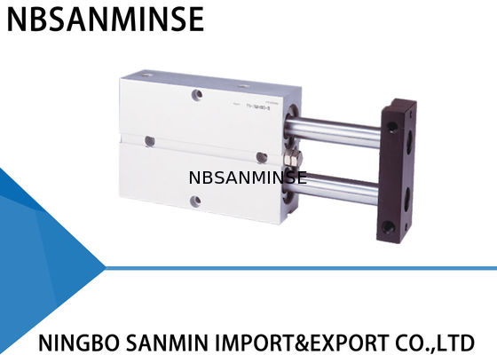 Tipo di Tac aria sostituta pneumatica del cilindro di Rod del gemello di serie di TN della doppia simile